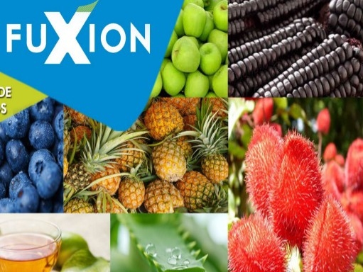 Fuxion Miry* logo